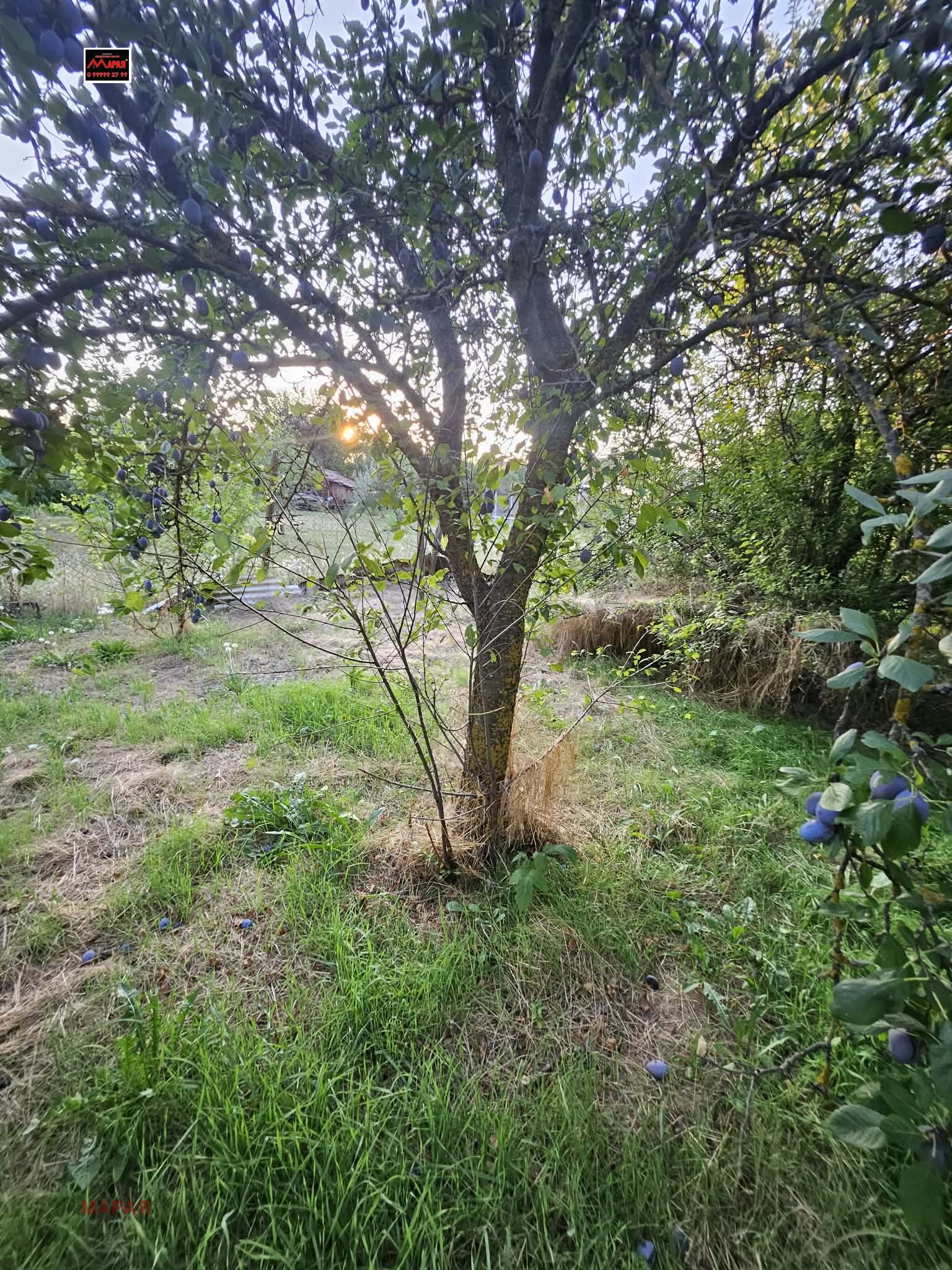 Продава КЪЩА, с. Бабово, област Русе, снимка 17 - Къщи - 55642501