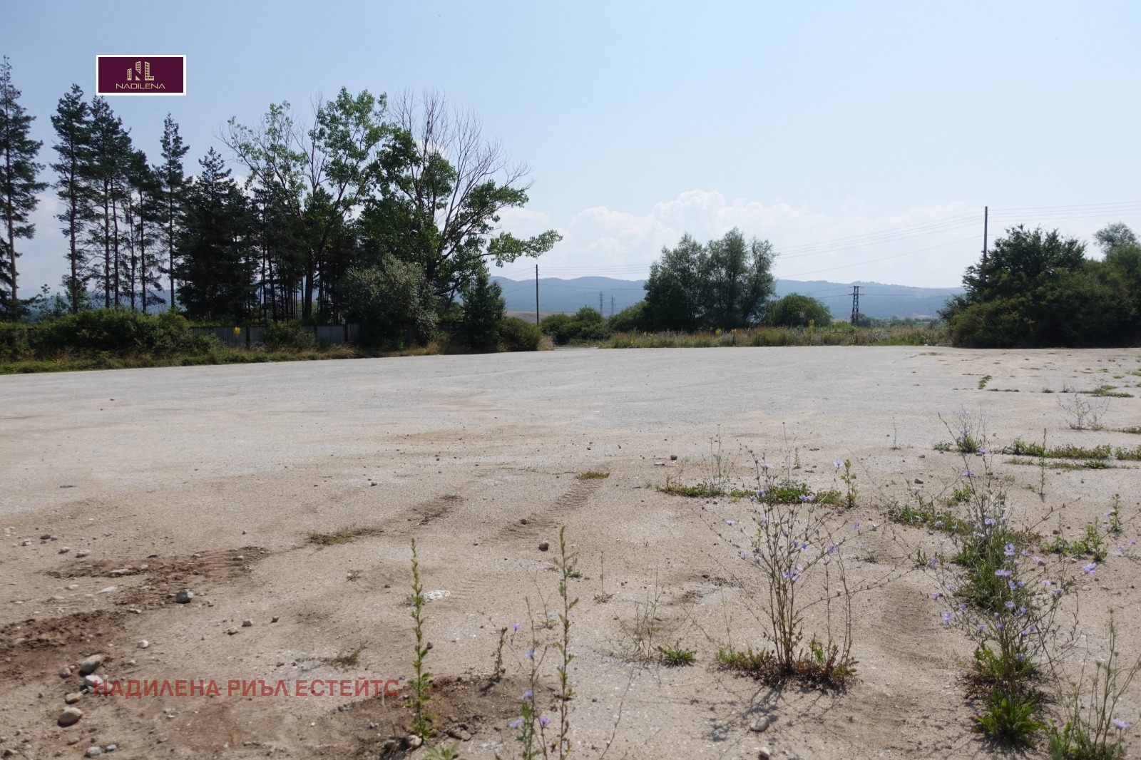 Продава ПАРЦЕЛ, с. Баня, област Благоевград, снимка 2 - Парцели - 42080148