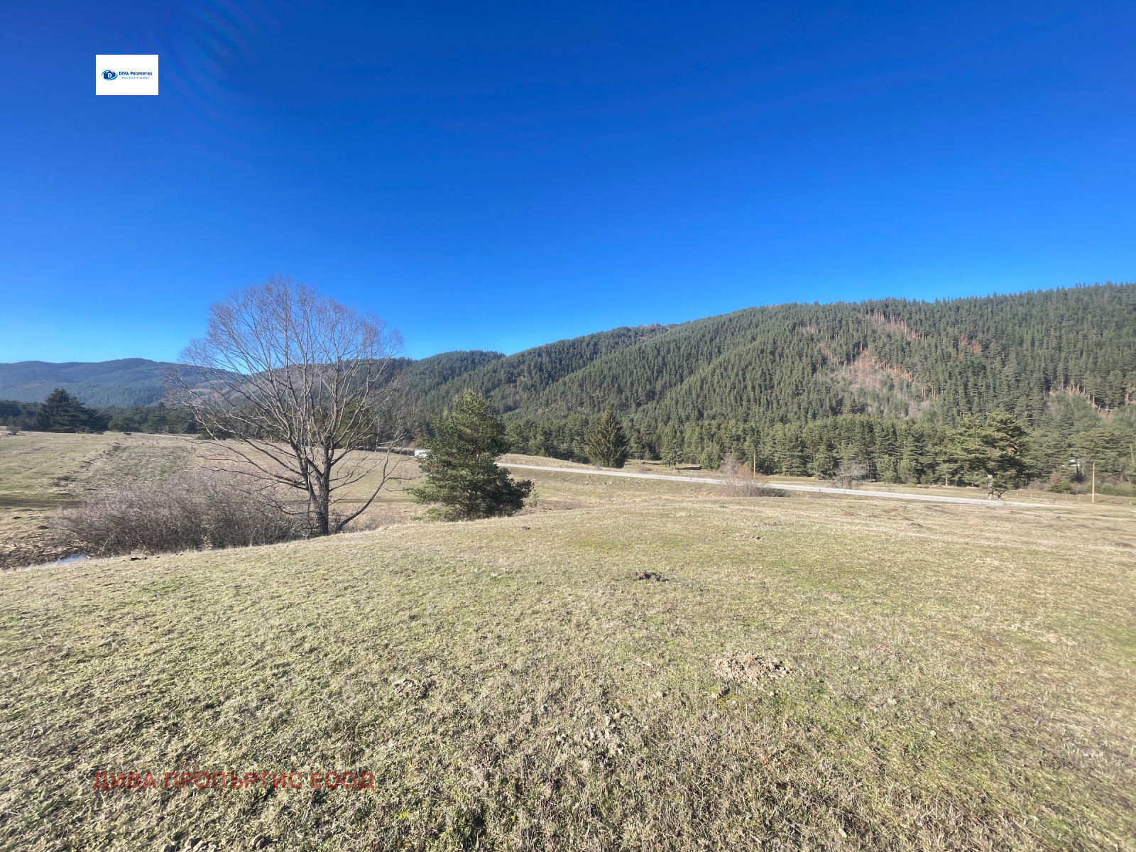 ������� ������ | Imot.bg � ����������� 1