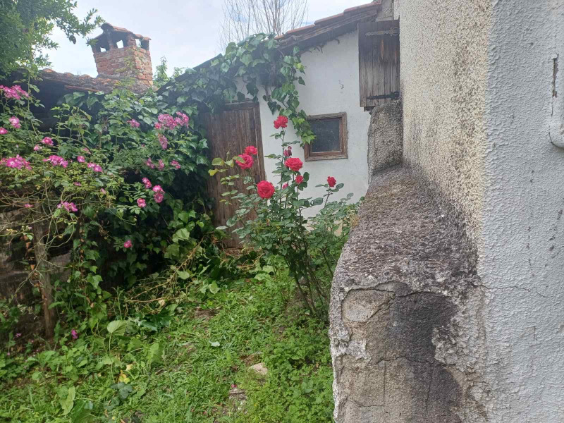 Продава КЪЩА, Извън страната, област Извън страната, снимка 11 - Къщи - 54759537