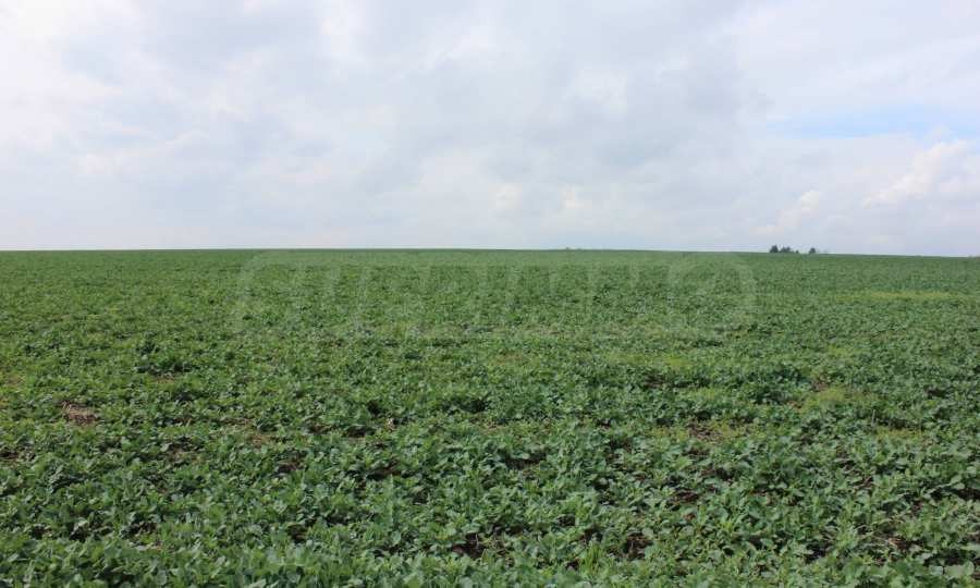 Продава ПАРЦЕЛ, гр. Бургас, Ветрен, снимка 11 - Парцели - 55295401