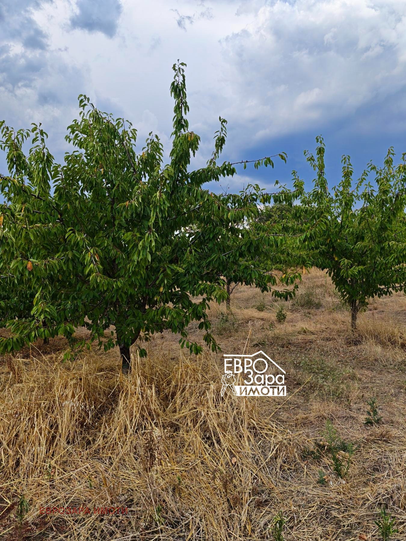 Продава ПАРЦЕЛ, с. Кирилово, област Стара Загора, снимка 2 - Парцели - 56224230