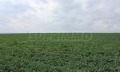 Продава ПАРЦЕЛ, гр. Бургас, Ветрен, снимка 10