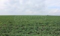 Продава ПАРЦЕЛ, гр. Бургас, Ветрен, снимка 11