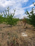 Продава  Парцел област Стара Загора , с. Кирилово , 3000 кв.м | 58405231 - изображение [3]
