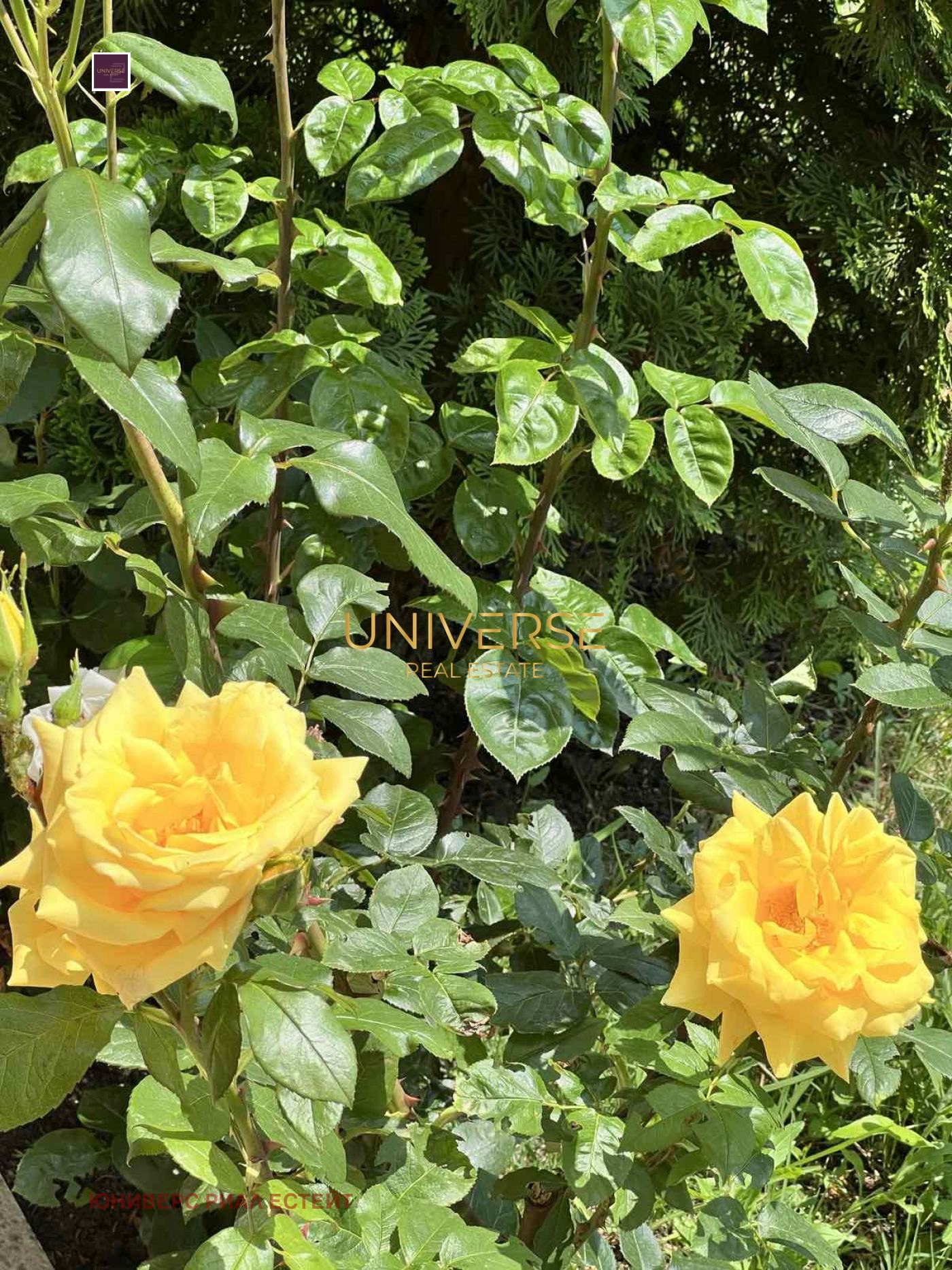 ������� 2-����� | Imot.bg � ����������� 15