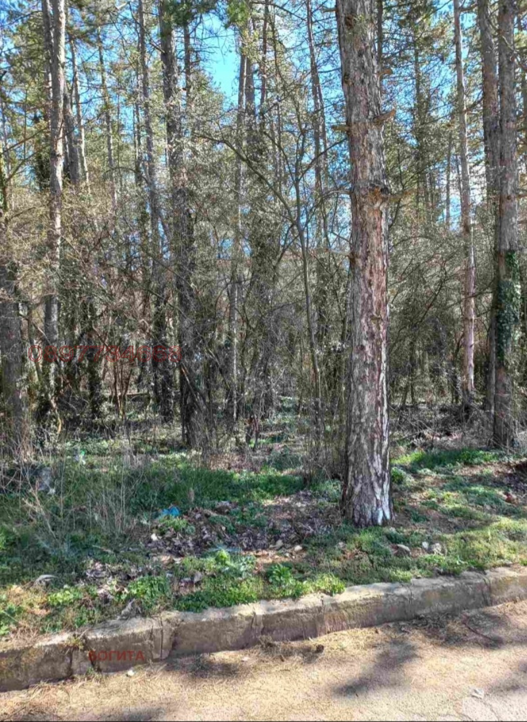 ������� ������ | Imot.bg � ����������� 2