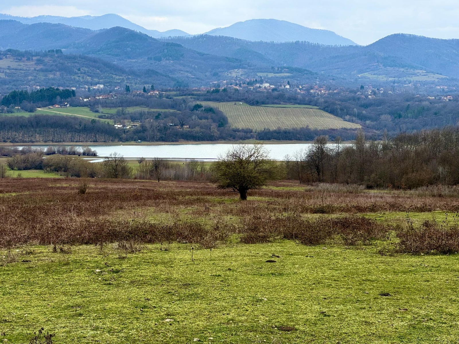 ������� ���������� ���� | Imot.bg � ����������� 1