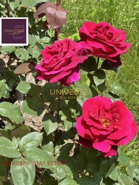 ������� 2-����� | Imot.bg � ����� ������ 16