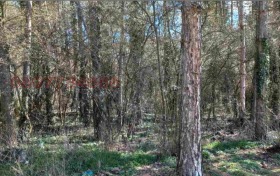 ������� ������ | Imot.bg � ����� ������ 3