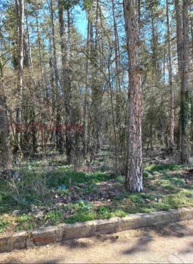 ������� ������ | Imot.bg � ����� ������ 2