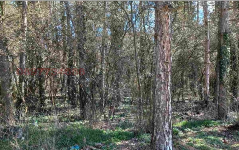 Продава ПАРЦЕЛ, с. Старозагорски бани, област Стара Загора, снимка 2 - Парцели - 52788786