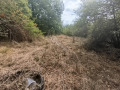 Продава ПАРЦЕЛ, област Габрово, с. Гостилица • 8700 € • 84255473 — Holmes.bg
