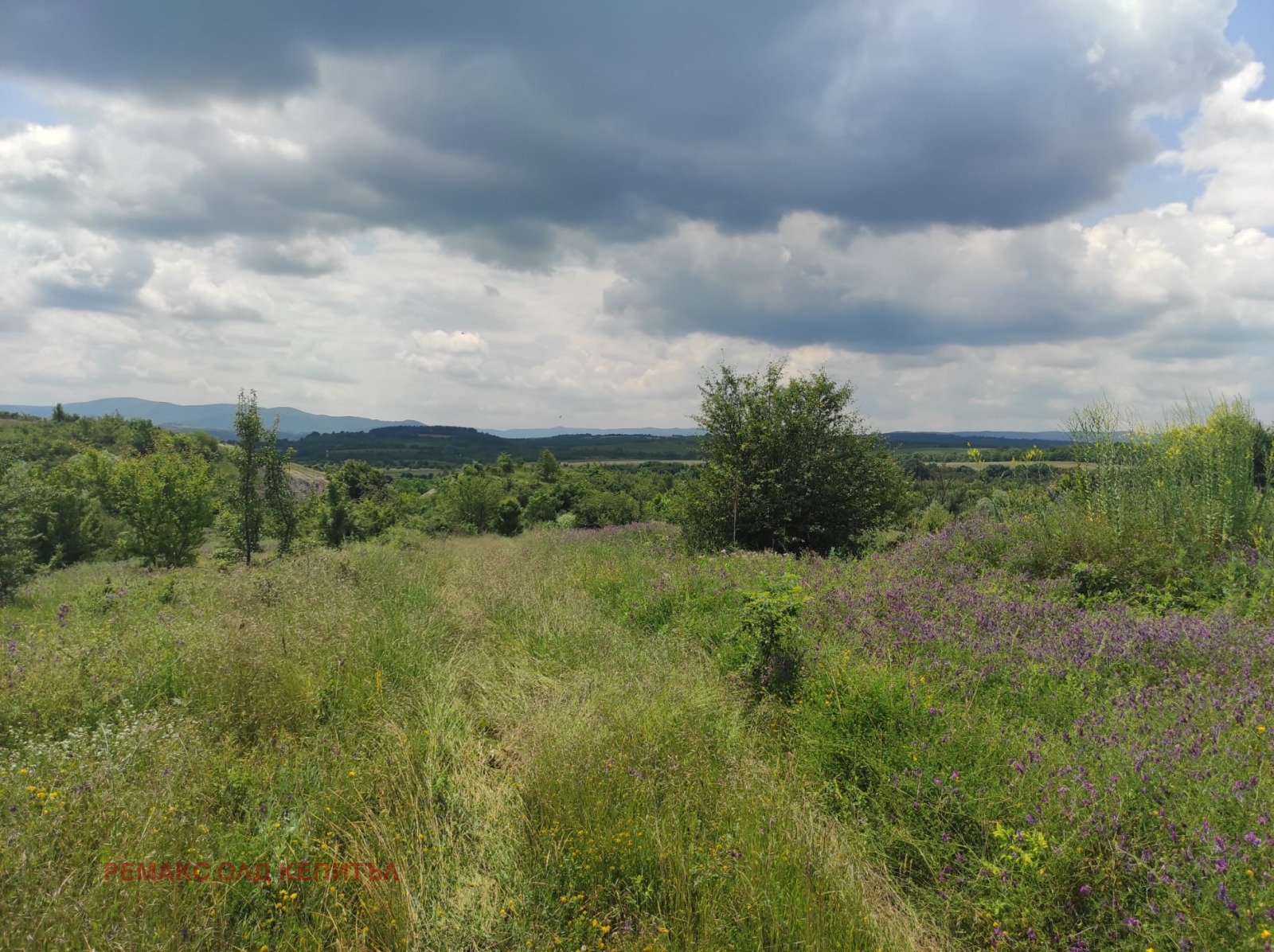 Продава ПАРЦЕЛ, гр. Дебелец, област Велико Търново, снимка 2 - Парцели - 41404927