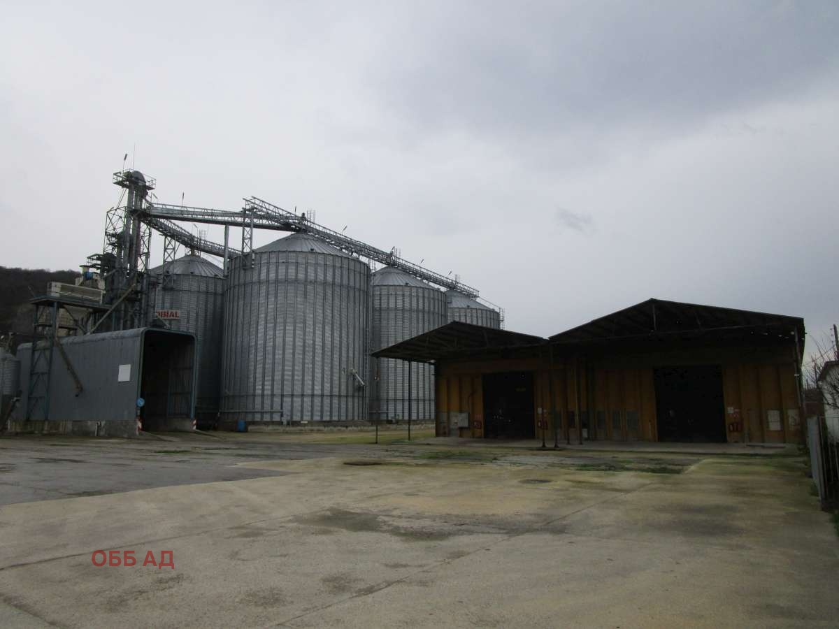 Продава БИЗНЕС ИМОТ, гр. Провадия, област Варна, снимка 2 - Други - 54531313
