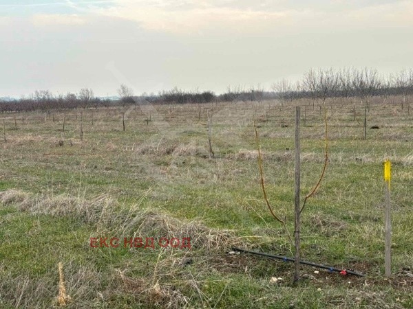 Продава ПАРЦЕЛ | Imot.bg — изображение 3