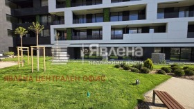 ����� ������� �������,���� �����, �������� ����