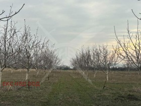 Парцел гр. Карлово, област Пловдив 1