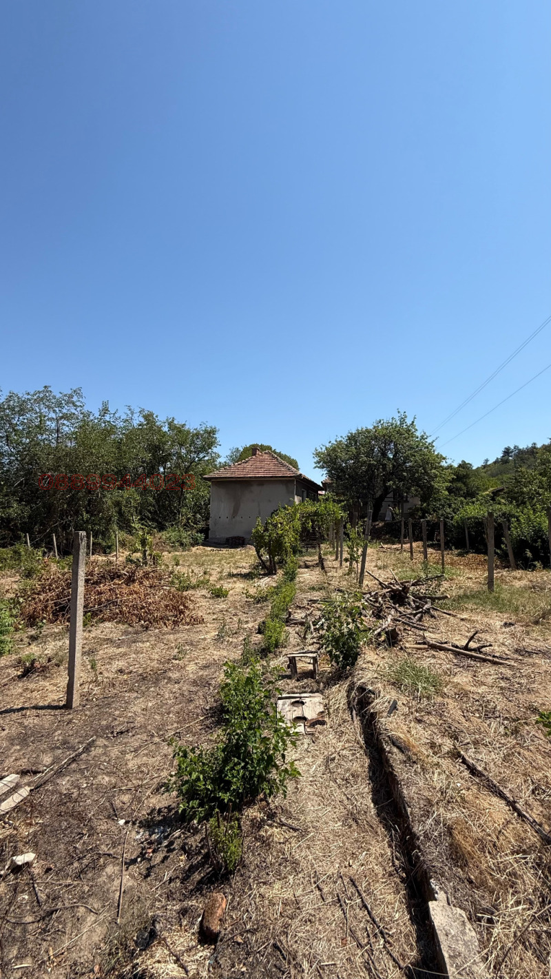 Продава КЪЩА, с. Долни Вадин, област Враца, снимка 4 - Къщи - 52784407