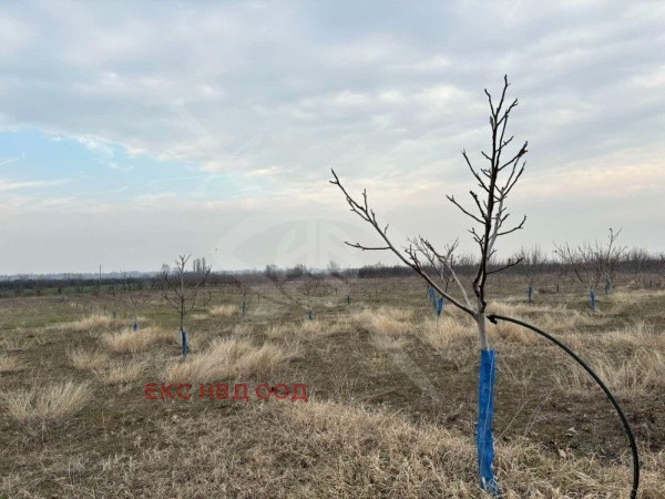 For Sale  Plot region Plovdiv , Karlovo , 21000 sq.m | 26482418 - image [2]