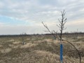 Продава ПАРЦЕЛ, област Пловдив, гр. Карлово • 45000 € • 79103381 — Holmes.bg
