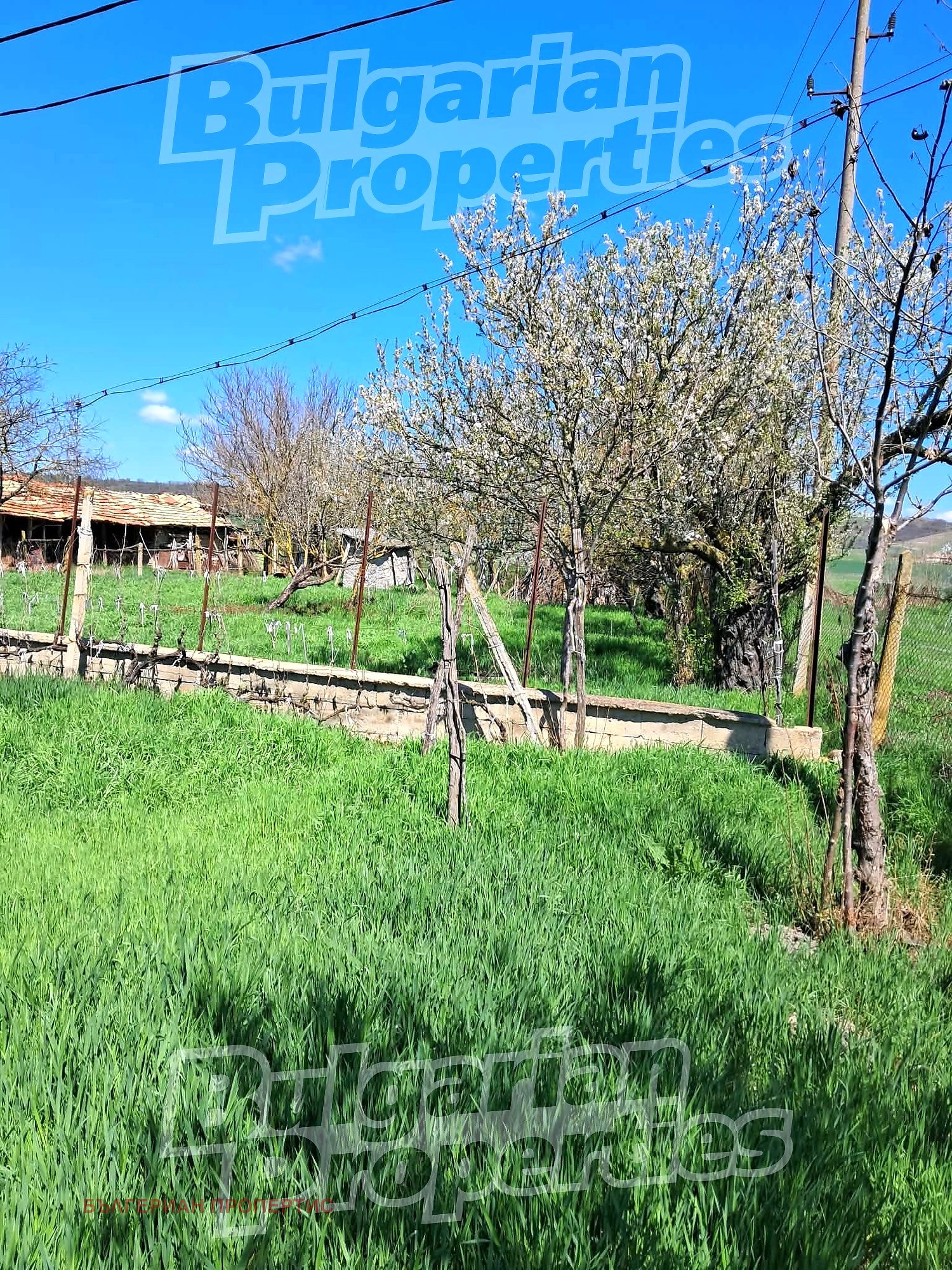 ������� ���� | Imot.bg � ����������� 7