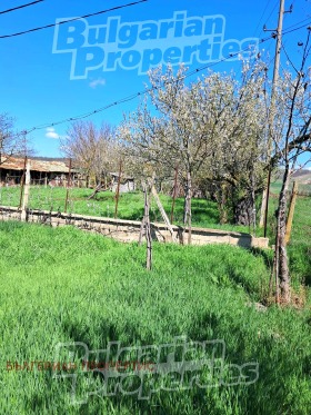 ������� ���� | Imot.bg � ����� ������ 7