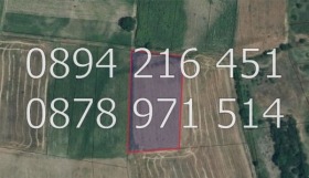 ������ ������� ���������� ����