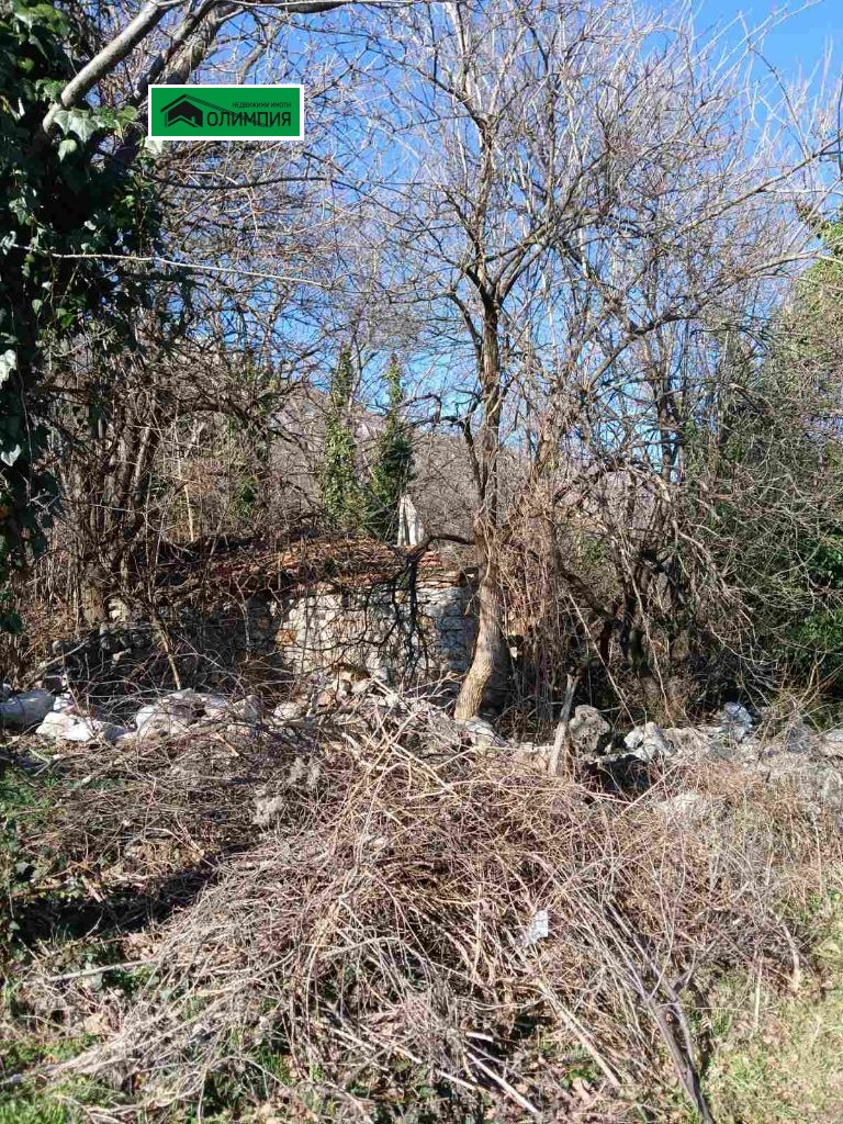 Eladó  Cselekmény régió Vratsa , Pavolcse , 911 négyzetméter | 48860903 - kép [4]