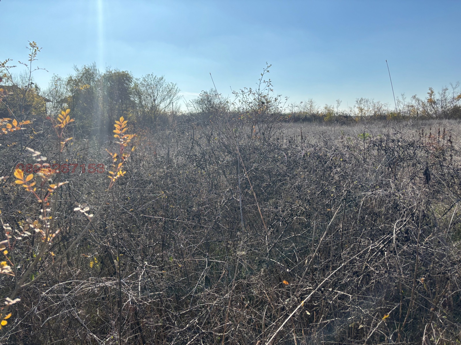 Продава ПАРЦЕЛ | Imot.bg — изображение 5