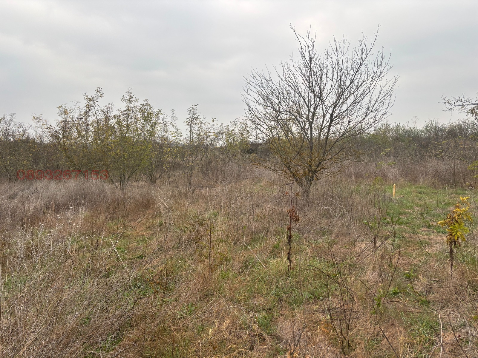 Продава ПАРЦЕЛ | Imot.bg — изображение 2