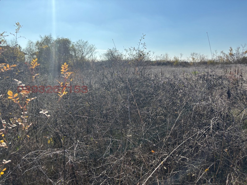 Продава ПАРЦЕЛ, гр. Средец, област Бургас, снимка 5 - Парцели - 52783770