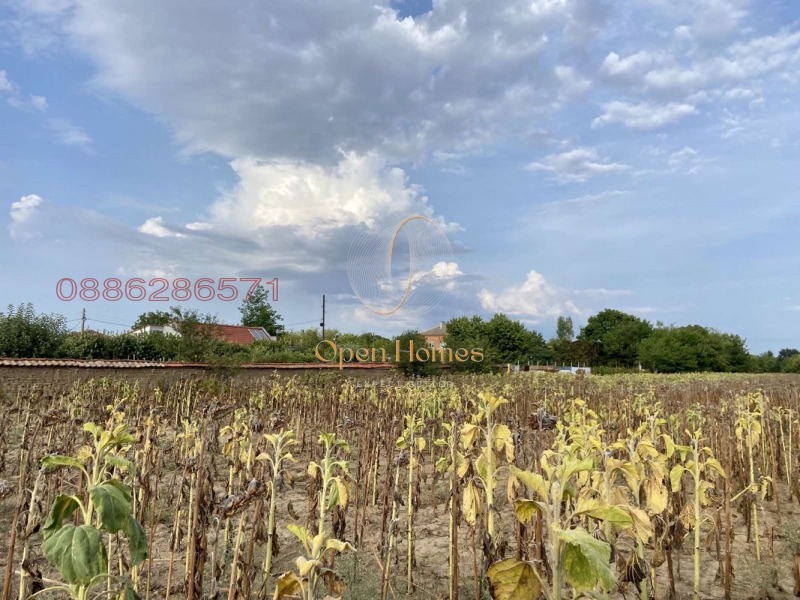 Продава ЗЕМЕДЕЛСКА ЗЕМЯ, с. Строево, област Пловдив, снимка 2 - Земеделска земя - 53018743