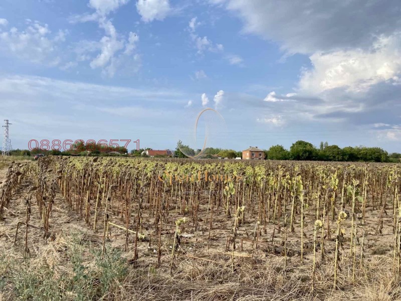 Продава ЗЕМЕДЕЛСКА ЗЕМЯ, с. Строево, област Пловдив, снимка 5 - Земеделска земя - 53018743
