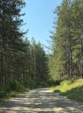 Продава ПАРЦЕЛ, с. Клисура, област София област, снимка 7