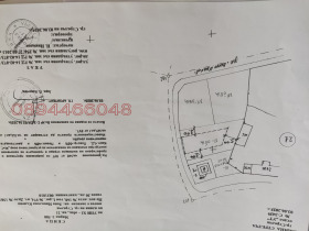 ����� ������� ������,��. �������, ������ ���������