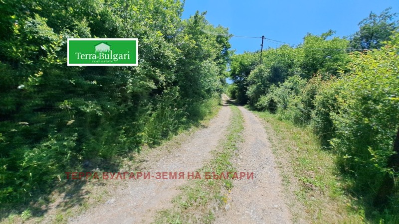 Myytävänä  Maa Pernikin alue , Dragitševo , 2 dka | 56896910 - kuva [2]