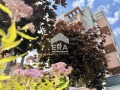 Продава  2-стаен град София , Горубляне , 77 кв.м | 61805005 - изображение [16]