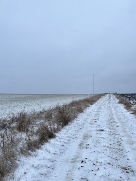 Land Nikolaevka, region Varna 1