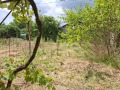 Продава КЪЩА, с. Стража, област Търговище, снимка 4