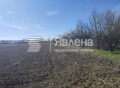 Продава ЗЕМЕДЕЛСКА ЗЕМЯ, с. Труд, област Пловдив, снимка 3