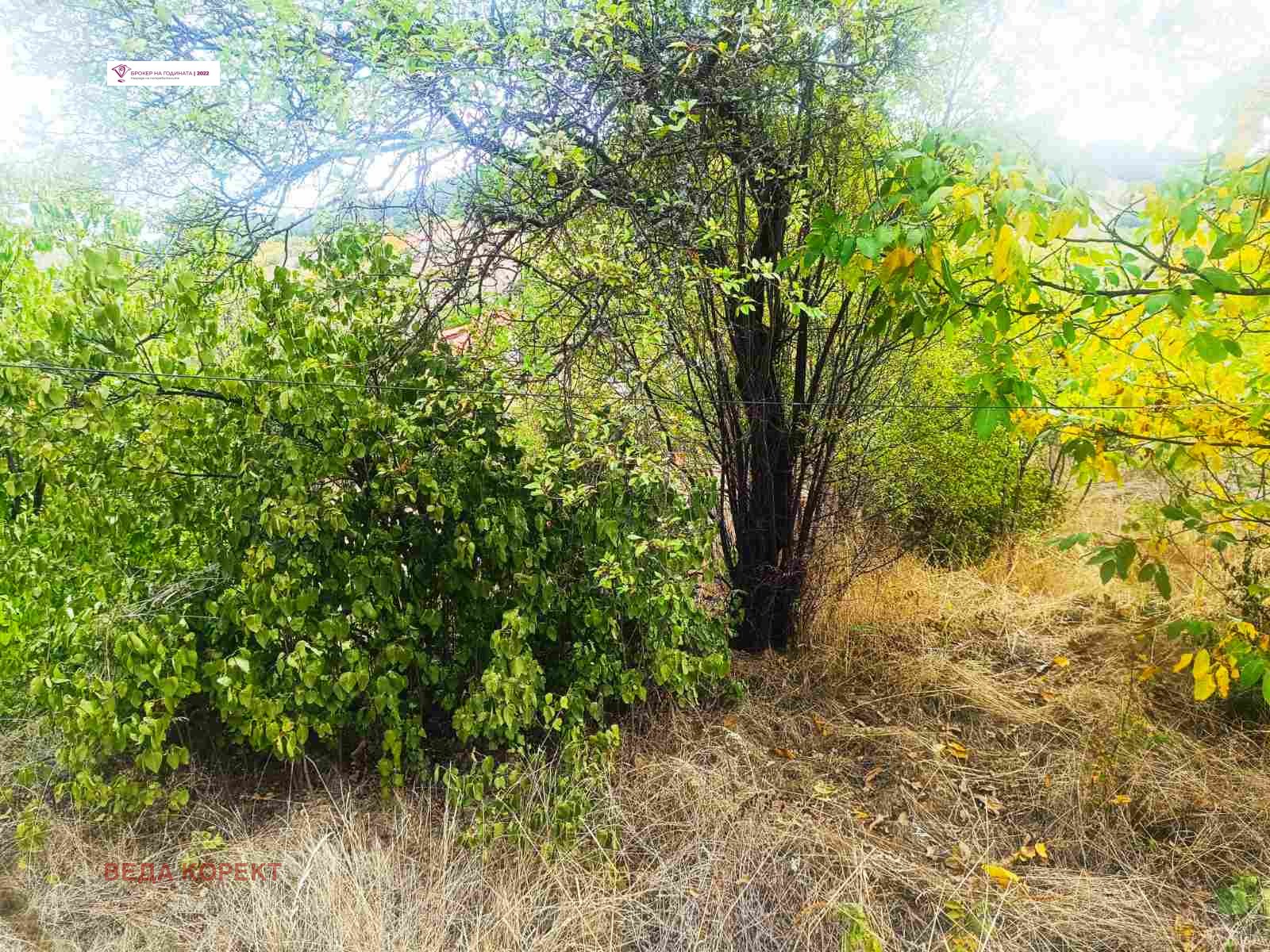 ������� ���� | Imot.bg � ����������� 4