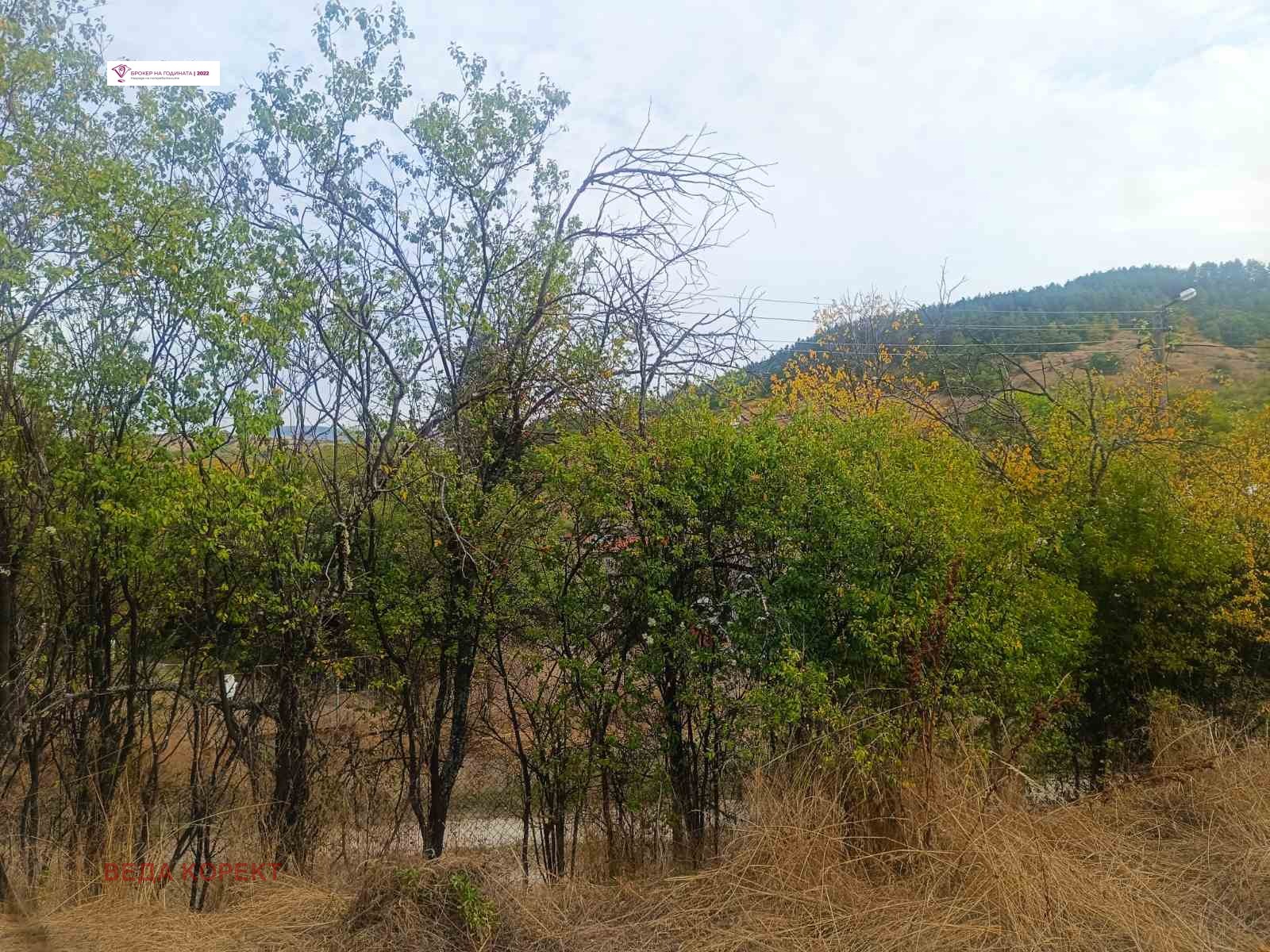 ������� ���� | Imot.bg � ����������� 6