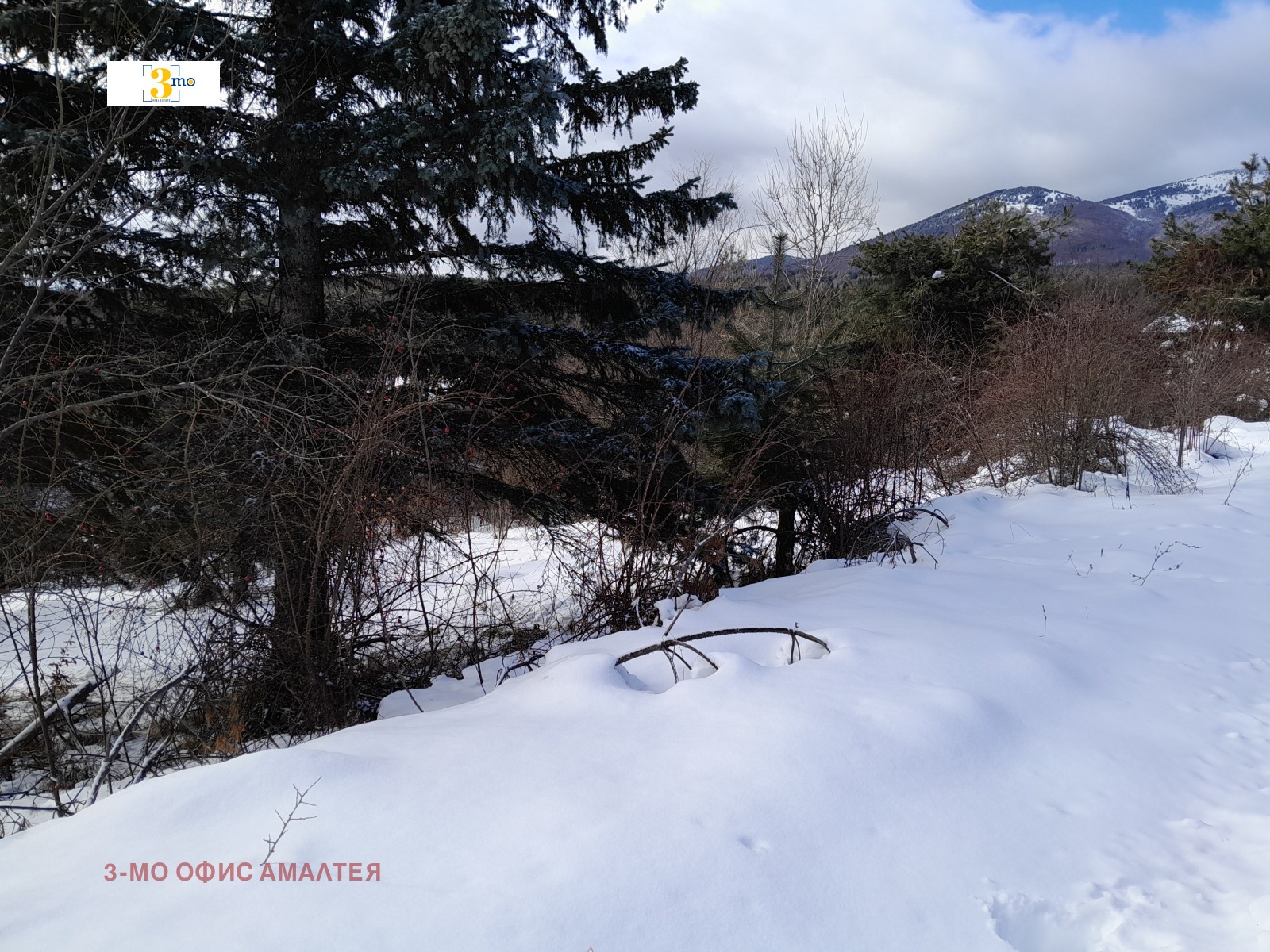 Продава ПАРЦЕЛ | Imot.bg — изображение 1