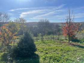 ������� ������ | Imot.bg � ����� ������ 10