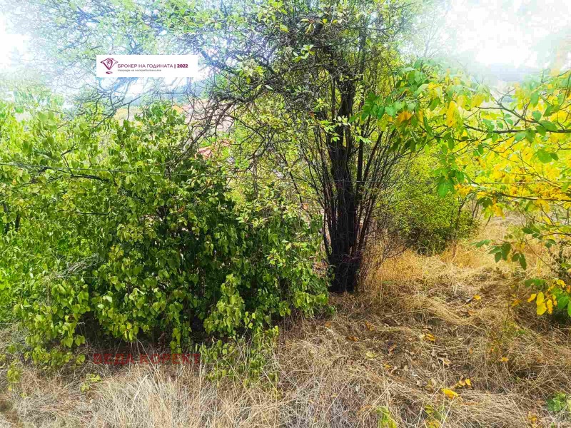 Продава КЪЩА, с. Радуй, област Перник, снимка 4 - Къщи - 53380246