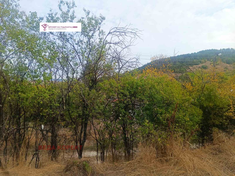 Продава КЪЩА, с. Радуй, област Перник, снимка 6 - Къщи - 53380246