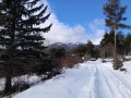 Продава ПАРЦЕЛ, в.з.Ярема, област София област, снимка 2
