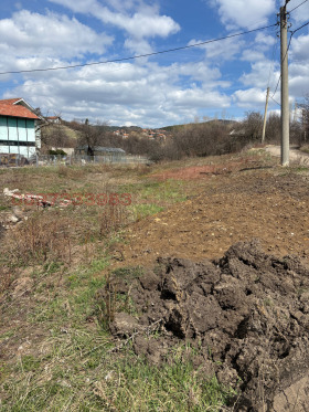 ����� ������� ������,�. �����, ������ ������