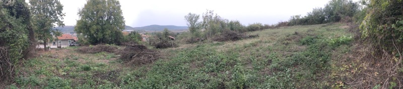 Til salg  Grund region Veliko Tarnovo , Debelets , 2388 kvm | 74213530 - billede [3]